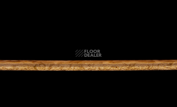 Tarkett Primo Plus 305 фото 3 | FLOORDEALER