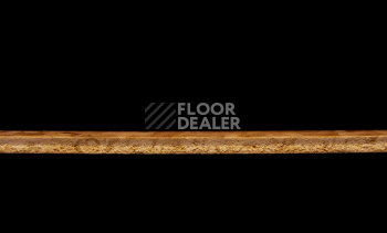 Tarkett Primo Plus 305 фото 3 | FLOORDEALER