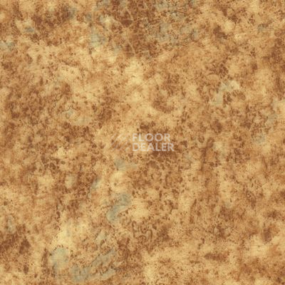 Линолеум Novoflor Standard 3100_11 фото 1 | FLOORDEALER