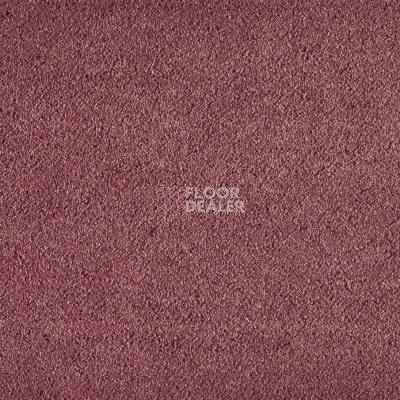 Ковролин Big Carus Olivia 436 фото 1 | FLOORDEALER