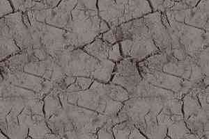 Ковролин Ege Highline Nature rf 5500625 фото  | FLOORDEALER