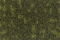 Flotex Colour Metro 5050 t 546021 Metro Moss фото 2 | FLOORDEALER