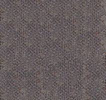 Ковролин Infloor Caprice 850 фото 1 | FLOORDEALER