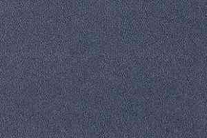 Ковролин Desso Asteranne 3842 фото  | FLOORDEALER