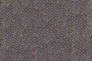 Ковролин Infloor Caprice 850 фото  | FLOORDEALER