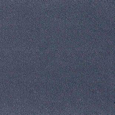 Ковролин Desso Asteranne 3842 фото 1 | FLOORDEALER