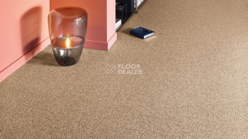 Vorwerk Essential 1074/Parma Vorwerk 1n24 фото 2 | FLOORDEALER