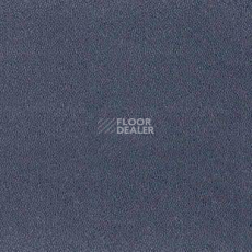 Ковролин Desso Asteranne 3842 фото 1 | FLOORDEALER