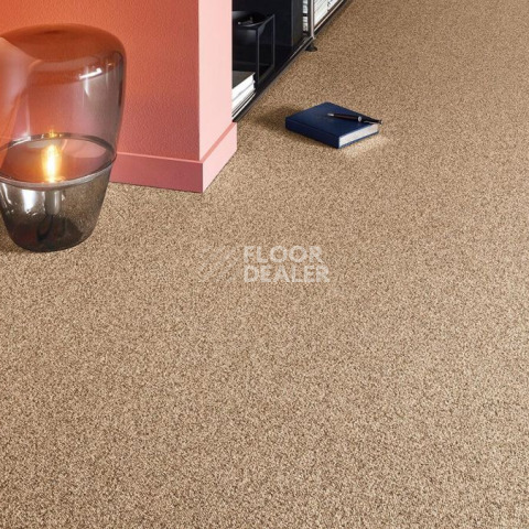 Vorwerk Essential 1074/Parma Vorwerk 1n24 фото 2 | FLOORDEALER