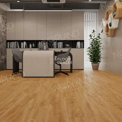Norland Elegant 8мм Дуб Хонсю LF301-10 фото 3 | FLOORDEALER