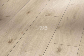 Ламинат Parador Classic 1050 4V 1475602 Дуб Осветленный фото 1 | FLOORDEALER