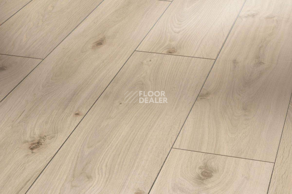 Ламинат Parador Classic 1050 4V 1475602 Дуб Осветленный фото 1 | FLOORDEALER