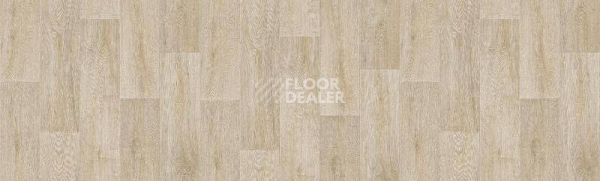 Линолеум Tarkett Fresh TONIC1 фото 1 | FLOORDEALER