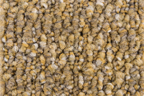 Desso Retrace ac 63 2024 фото 3 | FLOORDEALER