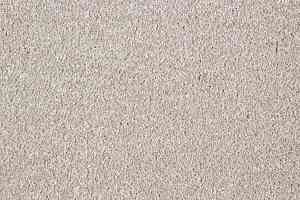 Ковролин Big Faye 110 фото  | FLOORDEALER