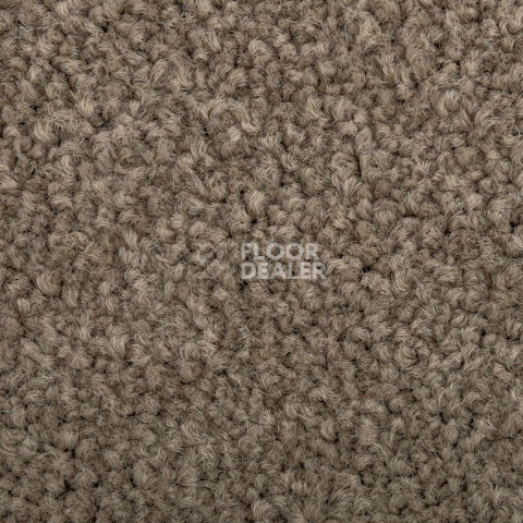 Standard Carpets Mountain View 4398 фото 3 | FLOORDEALER