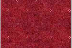 Ковролин AW Animo AW Animo 11 фото  | FLOORDEALER