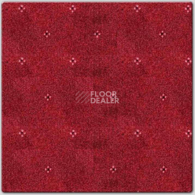 Ковролин AW Animo AW Animo 11 фото 1 | FLOORDEALER