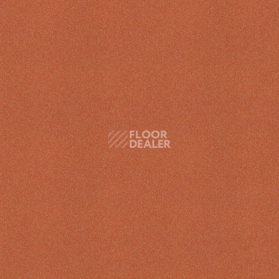 Ковровая плитка Tessera basis pro 4209 Clementine фото 1 | FLOORDEALER