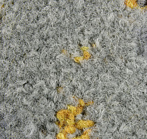 ColorKey ColorKey b 03 фото 2 | FLOORDEALER