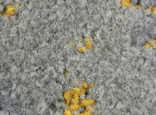 ColorKey ColorKey b 03 фото 2 | FLOORDEALER