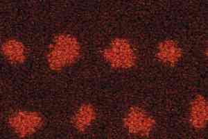 Ковролин Balsan Maori 470 фото  | FLOORDEALER