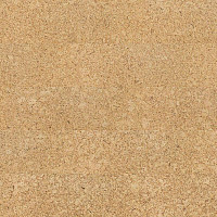 Пробковое покрытие Cork Go GB06002   Ambition фото 1 | FLOORDEALER