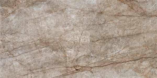 Керамогранит Rain Forest 60X120 Rain Forest Natural Mt 60X120 Rect фото 1 | FLOORDEALER