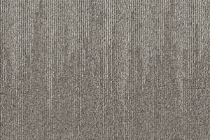 Ковровая плитка Balsan Zephir Sonic Confort 610 фото  | FLOORDEALER