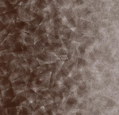 Flotex by Starck Artist 324009 Artist Umber / Taupe b4 фото 1 | FLOORDEALER