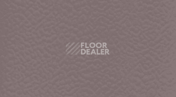 Линолеум Gerflor Taraflex evolution Uni 3764_Taupe фото 1 | FLOORDEALER