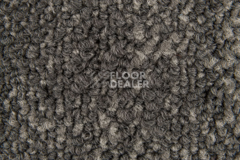 Haima Coral 08 фото 3 | FLOORDEALER