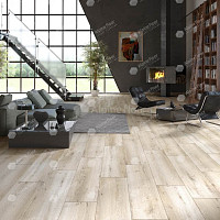 Classen Arteo 8 M 62748 Дуб Дамара фото 2 | FLOORDEALER