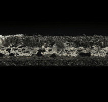 Balsan Crazy Balsan Crazy 999 фото 4 | FLOORDEALER