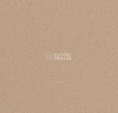 Линолеум Forbo Marmoleum Bulletin Board 2186 blanched almond фото 1 | FLOORDEALER