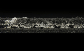 Balsan Crazy Balsan Crazy 999 фото 4 | FLOORDEALER