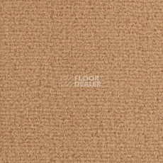 Ковролин Balsan Residentiel 777 фото 1 | FLOORDEALER