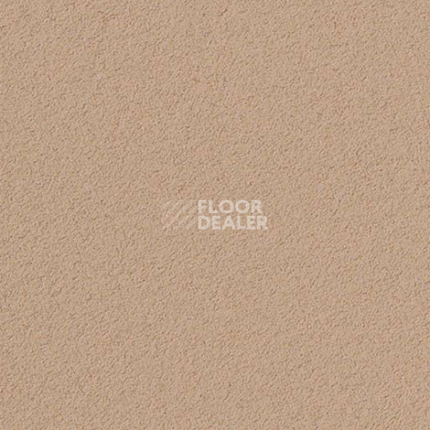 Линолеум Forbo Marmoleum Bulletin Board 2186 blanched almond фото 1 | FLOORDEALER