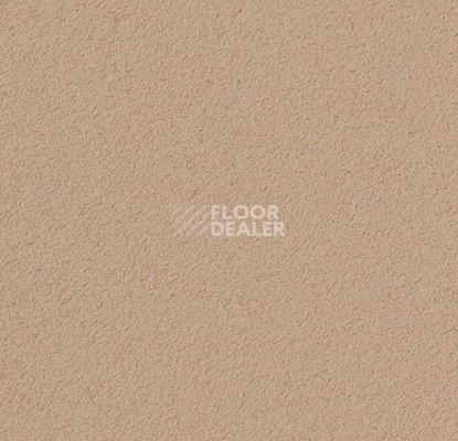 Линолеум Forbo Marmoleum Bulletin Board 2186 blanched almond фото 1 | FLOORDEALER