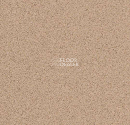 Линолеум Forbo Marmoleum Bulletin Board 2186 blanched almond фото 1 | FLOORDEALER
