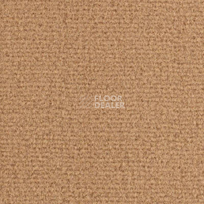 Ковролин Balsan Residentiel 777 фото 1 | FLOORDEALER