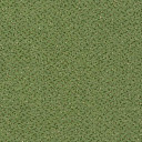 Ковролин Vorwerk Passion 1006 Vorwerk 4f78  | FLOORDEALER