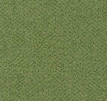 Ковролин Vorwerk Passion 1006 Vorwerk 4f78 фото 1 | FLOORDEALER