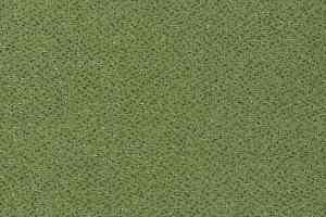 Ковролин Vorwerk Passion 1006 Vorwerk 4f78 фото  | FLOORDEALER