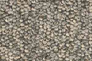 Ковролин Balsan Centaure 2000 Centaure 730 фото  | FLOORDEALER