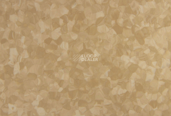 Tarkett iq Melodia 2620 фото 3 | FLOORDEALER