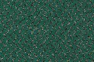 Ковролин Vorwerk Passion 1047 Vorwerk 4g61 фото  | FLOORDEALER