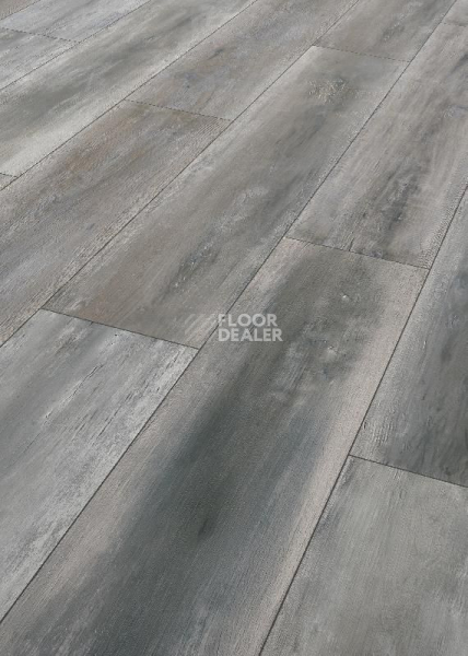 Ламинат Terhurne Trend Line 243мм 1914 Дуб Танцпол 1101020899 фото 1 | FLOORDEALER