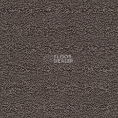 Ковролин Desso Marathon 9002 фото 1 | FLOORDEALER