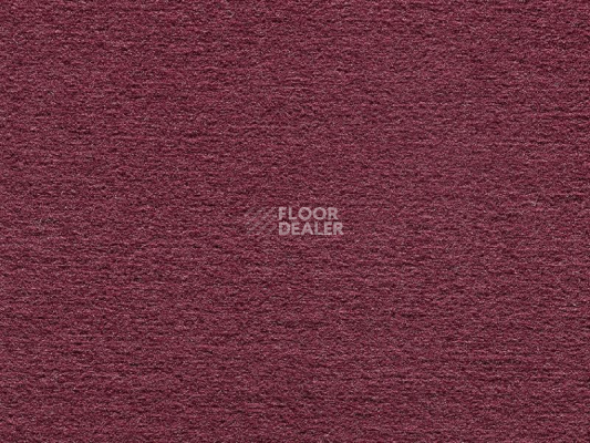 Ковролин Audrey 018 Audrey фото 1 | FLOORDEALER